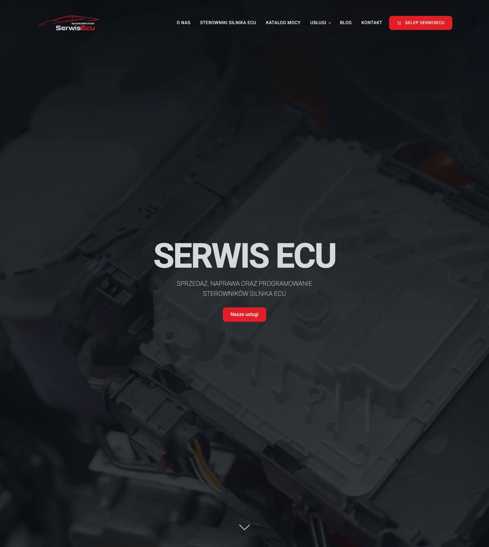 SerwisEcu